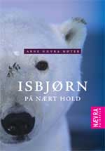 Isbj�rn p� n�rt hold (DVD)