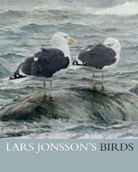 Lars Jonsson's Birds - The art of Lars Jonsson