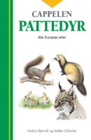 Pattedyr Alle Europas arter i tekst og bilder 