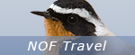 Nof Travel