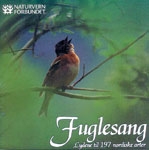 Fuglesang