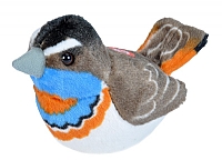 Bl�strupe
