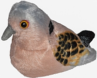 Turteldue