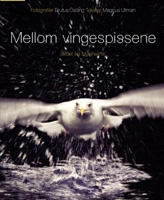 Mellom vingespissene