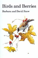Birds and Berries