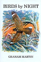 Birds by Night
