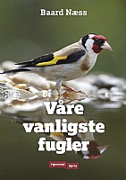V�re vanligste fugler