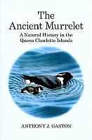 The Ancient Murrelet