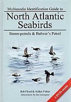 Multimedia Identification Guide to North Atlantic Seabirds: Storm-petrels & Bulwer's Petrel