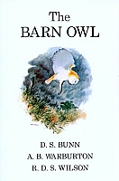 The Barn Owl