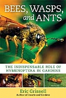 Bees, Wasps, and Ants