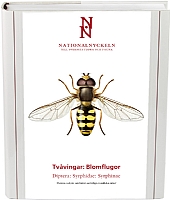 Tv�vingar: Blomflugor. Syrphidae: Syrphinae