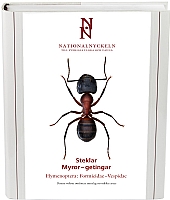 Steklar: Myror - getingar. Hymenoptera: Formicidae�vespidae