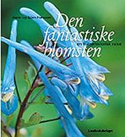 Den fantastiske blomsten