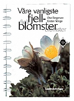 V�re vanligste fjellblomster