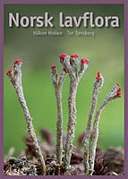 Norsk lavflora i farger