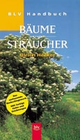 Baume und Stra�cher