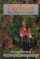 Fuchsias