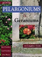 Growing Pelargoniums and Geraniums