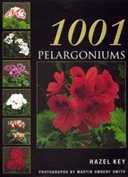 1001 Pelargoniums