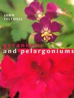 Geraniums and Pelargoniums
