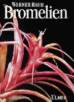 Bromelien