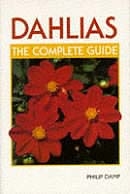 Dahlias