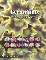 Geraniums
