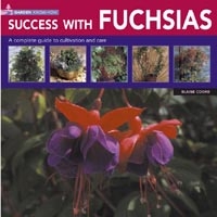 Success With Fuchsias
