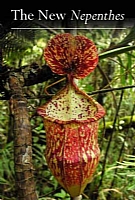 The New Nepenthes