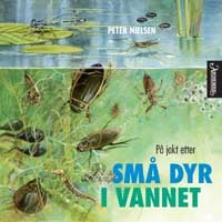 P� jakt etter sm� dyr i vannet