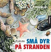 P� jakt etter sm� dyr p� stranden