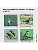 Bird songs and Calls of Britain and Europe (CD)