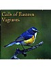 Calls of Eastern Vagrants