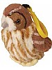 Kattugle