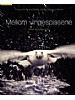 Mellom vingespissene