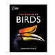 Extinct Birds
