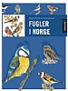 Fugler i Norge