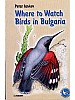 Where to Watch Birds in Bulgaria