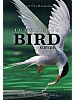 Icelandic Bird Guide