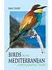 Birds of the Mediterranean
