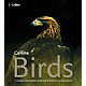 Collins Birds