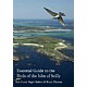 Essential Guide to the Birds of the Isles of Scilly