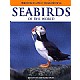 Photographic Handbook of the Seabirds of the World