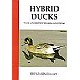Hybrid Ducks