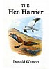 Hen Harrier