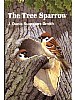 The Tree Sparrow