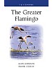 The Greater Flamingo