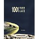 1001 fluer til moderne laks