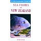 A Photographic Guide to Sea Fishes of New Zealand